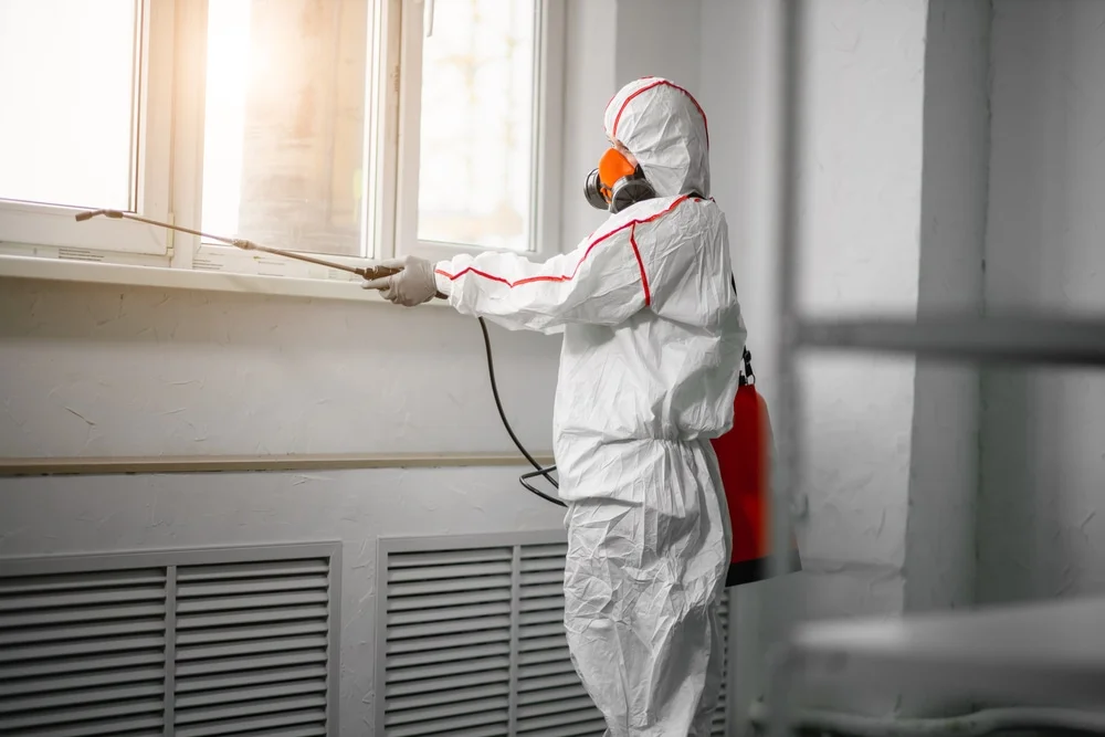 Professional mold remediation services in Gardiner, MT